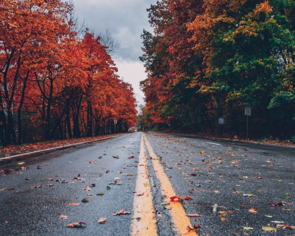 Road to Autumn